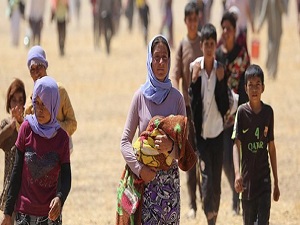 Yezidiler için Şanlıurfa'da kamp kurulacak