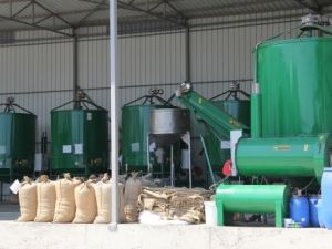 Havaların güneşli geçmesi fındıkta mekanik kurutmaya talebi azalttı