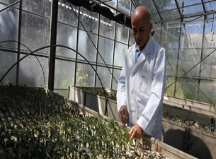 Maviyemiş için küresel ortaklık