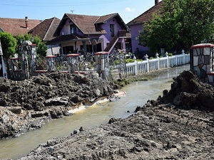 TİKA'dan Sırbistan'daki sel mağdurlarına yardım