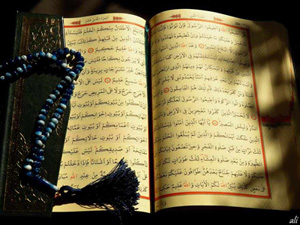 Allah, hemen cezâlandırsaydı hiçbir canlı bırakmazdı!