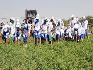 Geleceğin çiftçileri GAP’ta yetişiyor