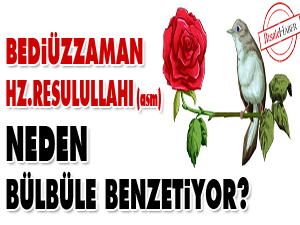 Bediüzzaman, Hz. Resulullahı (asm) neden bülbüle benzetiyor?