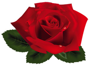 Çok konuşanın hatası çok olur