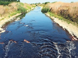 Ergene Havzası 30 yıl önceki haline kavuşacak