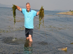 Sapanca gölünde kırmızı alarm