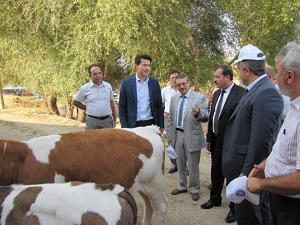 Kütahya'ya 1 Yılda 31 Milyonluk Hayvancılık Desteği