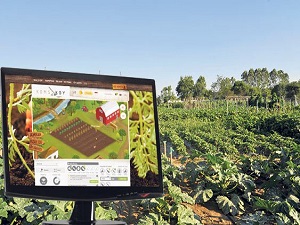 Sanal tarımla doğal ürün yetiştiriyorlar