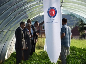 Sırbistan'da TİKA'nın Sera Projeleri Gıda Güvenliğinin Teminatı Oldu