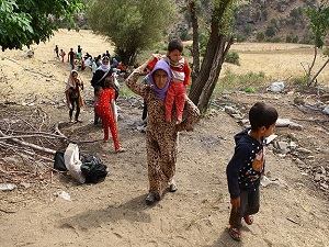 Yezidilerin umuda yolculuğu sürüyor