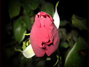 Geçimi kendisine yetecek kadar olana müjdeler olsun