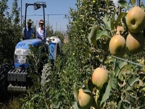 Düşük rekolte ve ihracat zam olarak yansıdı