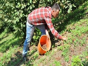 Yüksek lisanslı çiftçi