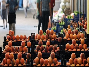 Avrupalılar Denizli şeftalisini sevdi