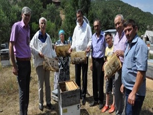 Ordu'da arıcılara destek yağmuru