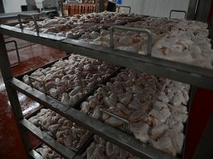 Ayrıştırılmış beyaz et Rusya pazarında