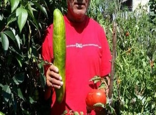 Bu salatalık tam 2 kilo