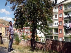 Görenler şaştı kaldı!