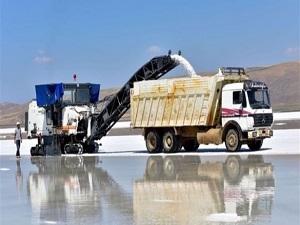 Tuz Gölü'nde hasat sürüyor