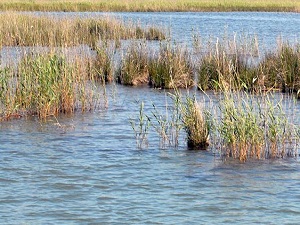 Türkiye'yi 2025'te bekleyen büyük tehlike