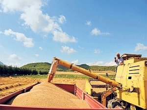 Çiftçinin yüzde 65’i, kazandığıyla geçinemiyor