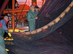 Balıkçılar ilk gün eli boş döndü