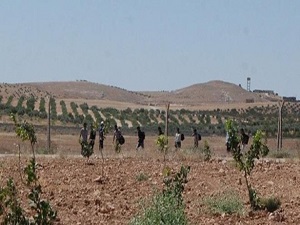 Bir grup Suriyeli ülkelerine döndü