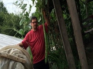 Ordu'nun kabakları gören şaşırıyor