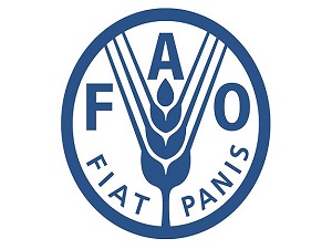 Ebola salgını gıda krizine yol açabilir