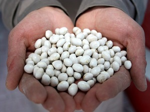 Kuru fasulyeye yeniden gümrük vergisi getirildi