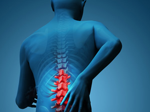 Hareketsiz yaşam ölümü hızlandırıyor