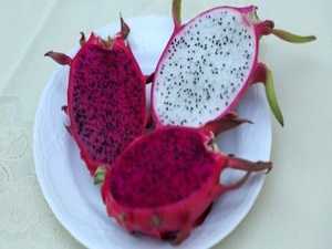 Türkiye'de ilk kez üretildi: Tanesi 40 TL