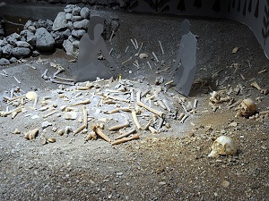 Anadolu insanının DNA'sı çıkarılacak