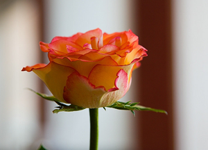 Size Allah'ın azabı hatırlatıldığında kötülükten vazgeçin