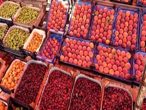 Dünya gıda fiyatları 4 yılın dibinde