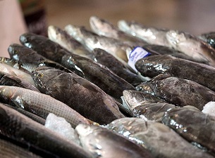 'Ekim' bereketi yüz güldürüyor