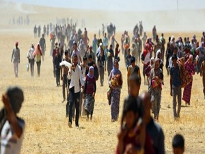 2 bin Ezidi için çadır kent