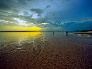 Bozoğlu: 'Tuz Gölü göz göre göre yok ediliyor'
