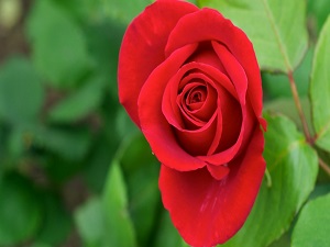 Biriniz kızdığında sussun