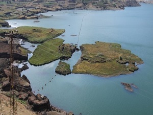 Yüzen adalar kıyıya vurdu