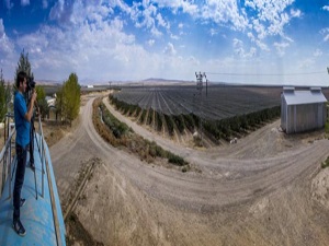 700 futbol sahası büyüklüğünde elma bahçesi