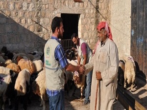 İHH Suriye'de bin kurban kesecek