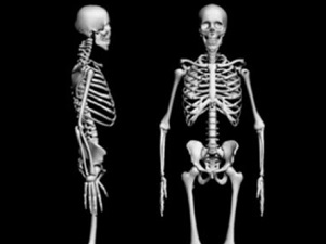 Sağlıklı beslenme kemikleri koruyor