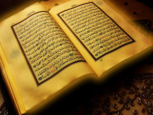 Artık bak, o korkutulanların âkıbeti nasıl oldu?