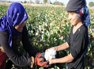 Çocukları eğitimden koparmayın!