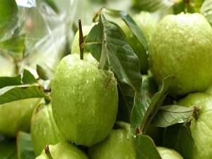 Merak edip, üretti kanser hastalarına umut oldu