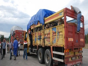 Kurbanlıklara sıkı denetim