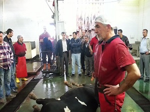 Kurbana eziyetin cezası 2 bin 281 lira