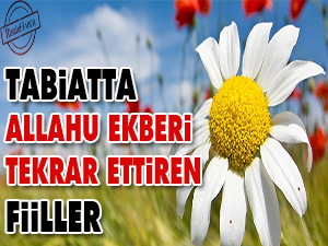 Tabiatta, Allahu Ekberi tekrar ettiren fiiller