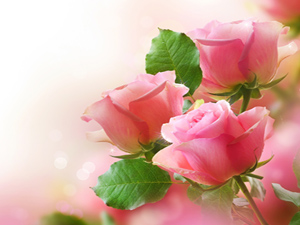 Hz. Peygamber çocuklara rastladığında selam verirdi